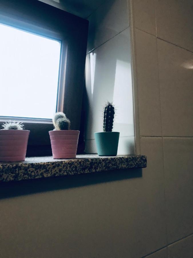 פורטו Boavista Villa Guesthouse מראה חיצוני תמונה