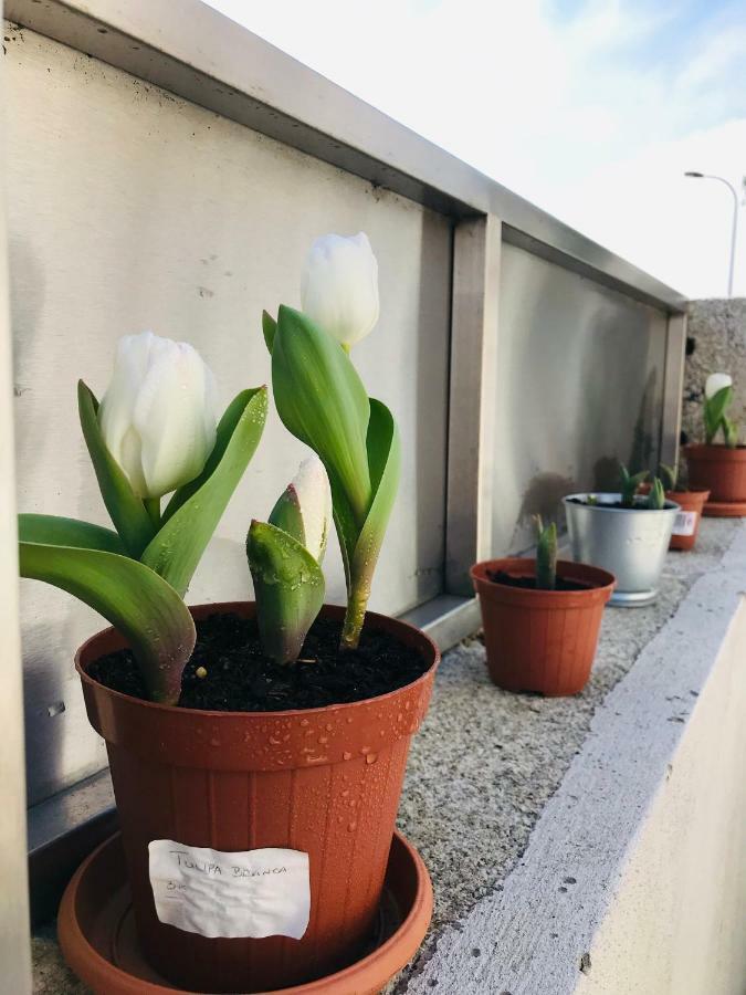 פורטו Boavista Villa Guesthouse מראה חיצוני תמונה